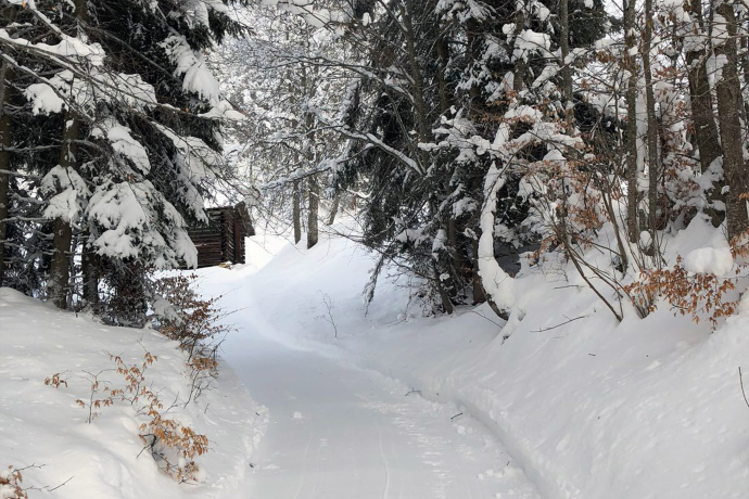 Fanas winter hiking trail Fanas winter hiking trail