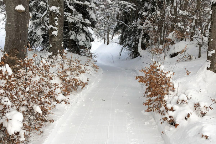 Winter hiking trail Fanas Winter hiking trail Fanas