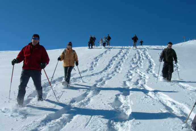 Signalisierter Schneeschuhtrail: Camana - Safien Platz (oua_25354693_image)