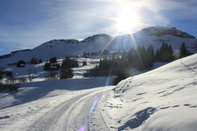 Panoramatour Kartitscha - Cuolm Sura - Bündner Rigi - Morissen/Vella (oua_25355705_image)