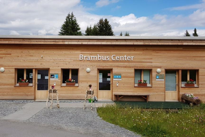 Brambus Center in summer Brambus Center in summer