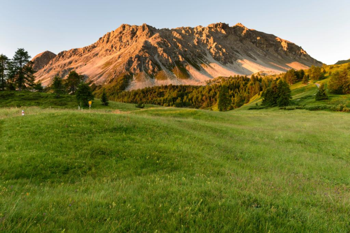 Munter - Ziteil - Andeer (oua_25490306_image)