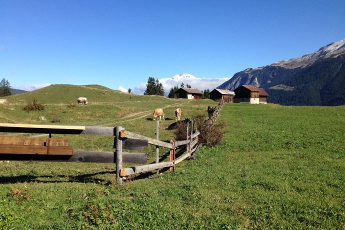 Tigignas - Fotgs - Parnoz - Savognin (Kinderwagengerecht) (oua_25901087_image)