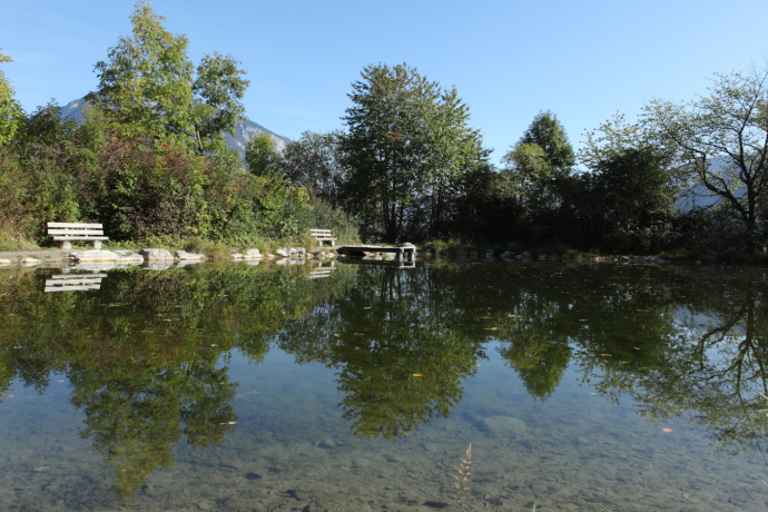 Weihermühle Nature Reserve