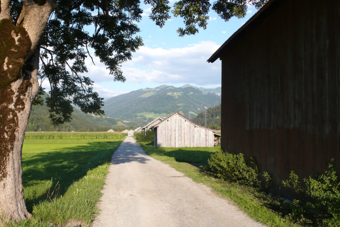 Fluss-Spaziergang entlang der rauschenden Landquart (oua_26086493_image)