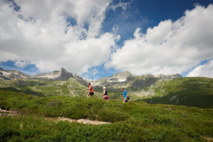 Bostg - Trail (oua_26247375_image)