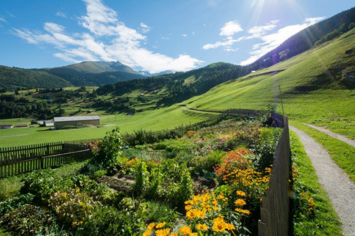 Von Segnas Richtung Sedrun