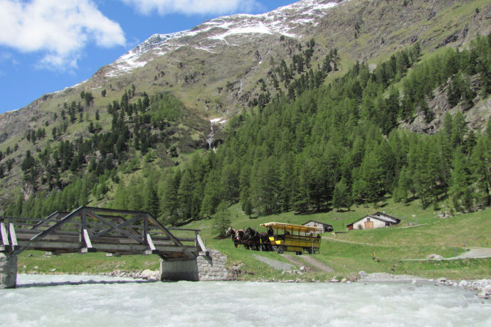 Kutsche im Val Roseg