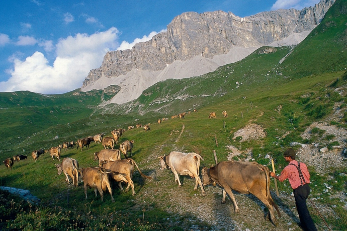 Prättigau im Sommer