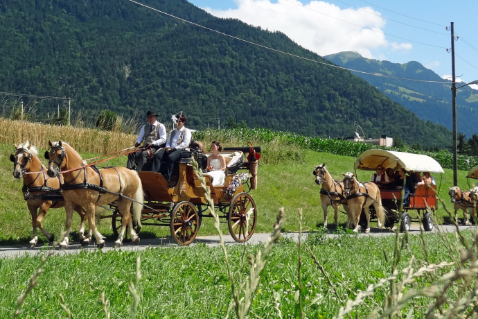 Gite in carrozza trainata da cavalli Scalärahof
