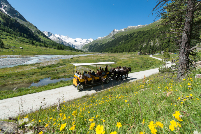 Kutschenfahrt ins Val Roseg