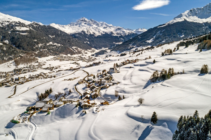 Parsonz (oua_27378592_image)