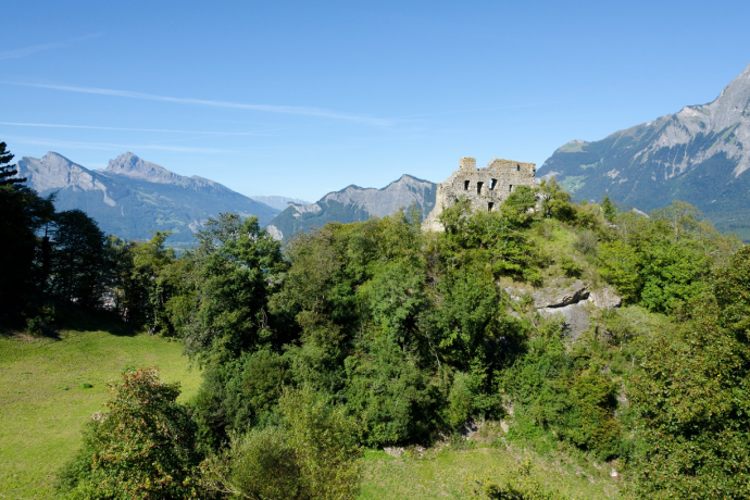 Ruines du château de Wartenstein