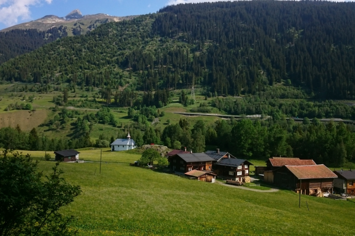 Cavorgia