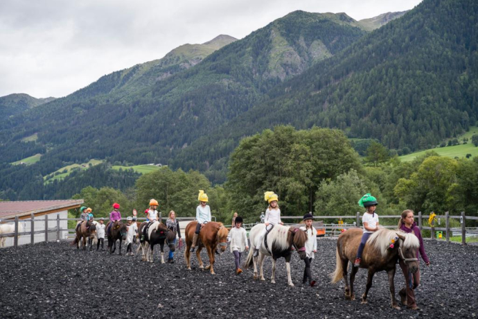 Reitschule Iris Hauschild - Fokus Mensch-Pferd (oua_27608854_image)