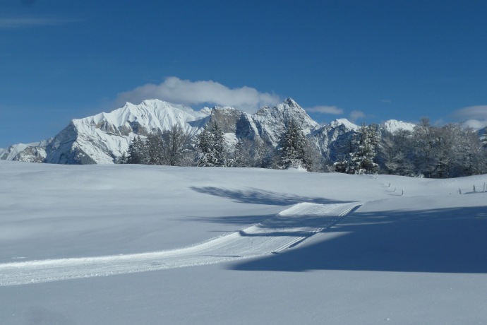 Langlaufloipe mit dem verschneiten Falknis im Hintergrund