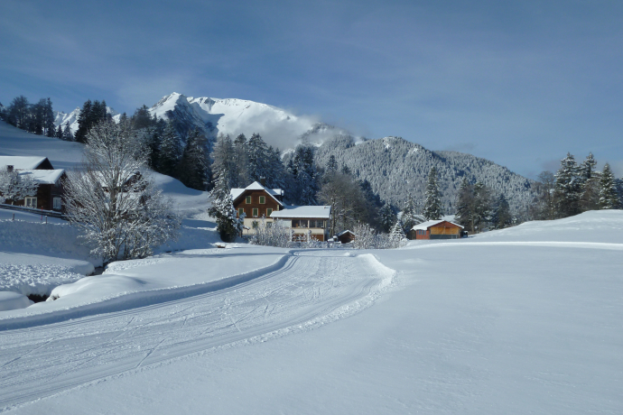 Weisse Winterpracht in St. Margrethenberg Dorf