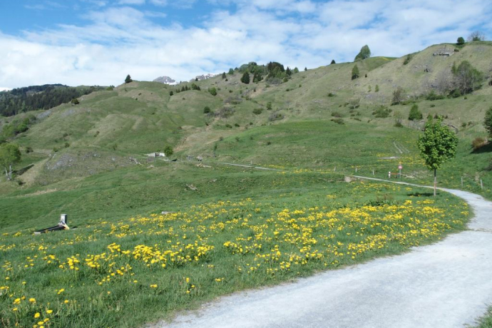 Senda culturala Lumnezia / Kulturweg Lumnezia (oua_28419152_image)