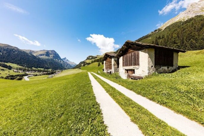 Rheinquellweg agricoltura