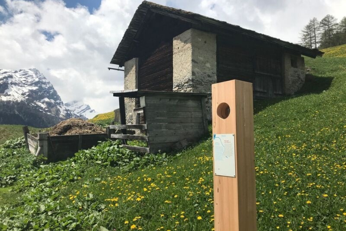 Rheinquellweg agricoltura