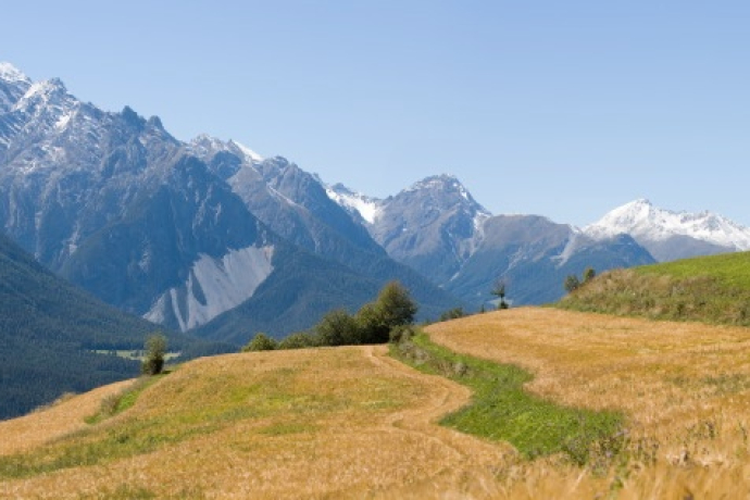 Grain terraces east of Sent