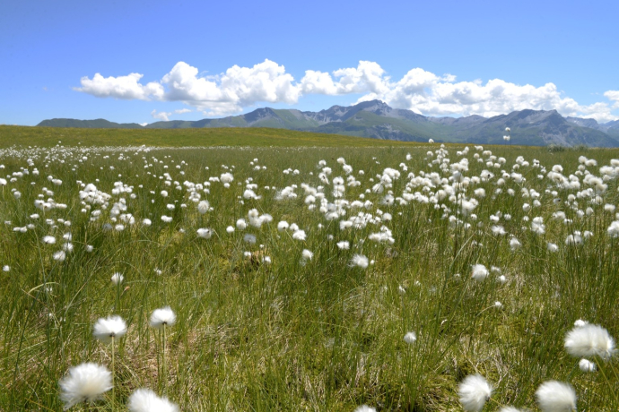 Natural landscape Beverin