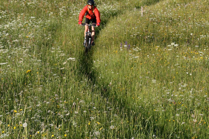 Tour in bicicletta Malfeis