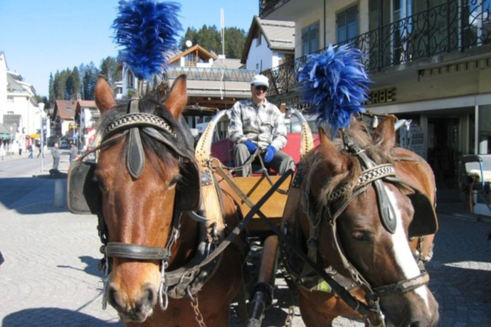 Pferdekutschen Fam. Margreth (oua_29698524_image)