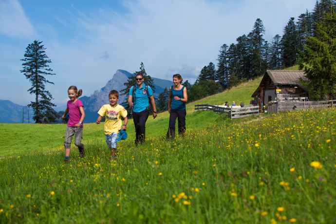 Excursion to the Heidialp (Ochsenberg).