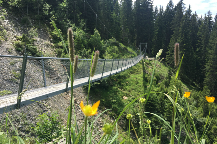 Pont suspendu de Buchnertobel