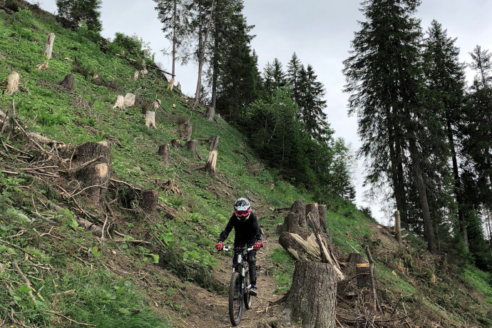 279 Pendlatrail (oua_30306638_image)