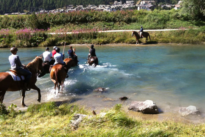 HETS The School for Natural Horsemanship (oua_30375678_image) HETS The School for Natural Horsemanship (oua_30375678_image)