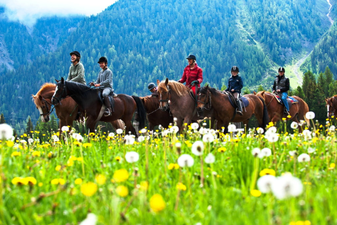 Gina's Reitschule (oua_30376264_image)