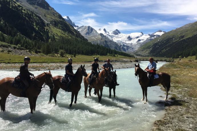 Engadin Galopp GmbH (oua_30376576_image)