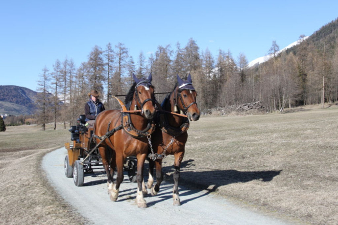Fahr- und Reitbetrieb Zuoz (oua_30377138_image)