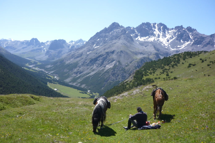 Stalla Gabriel (oua_30377331_image)