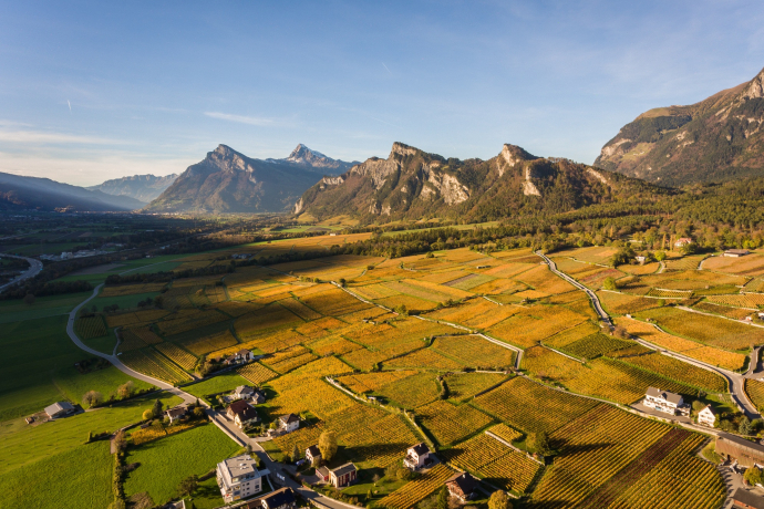 Vignobles Bündner Herrschaft et Regitzerspitz