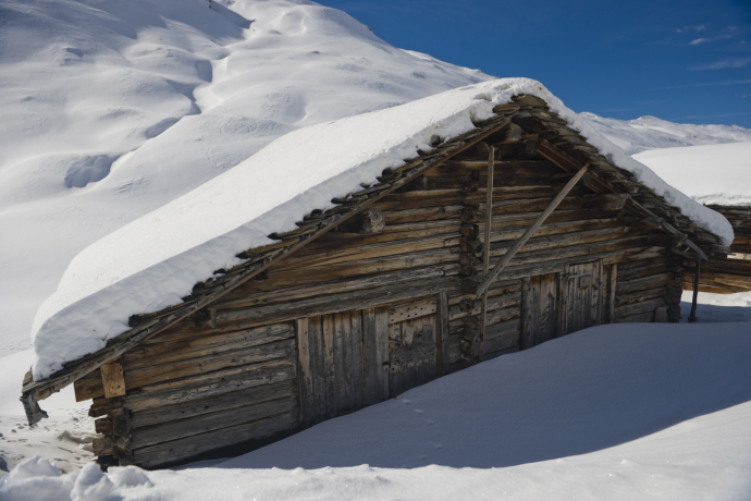 Stall in Avers-Pürt