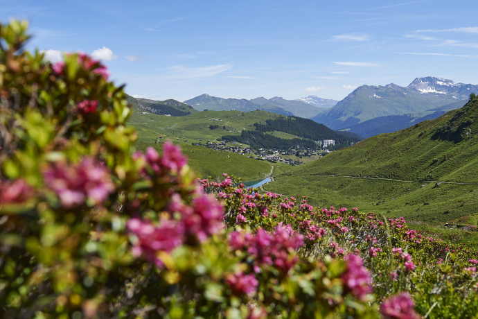 Schwellisee Panoramaweg