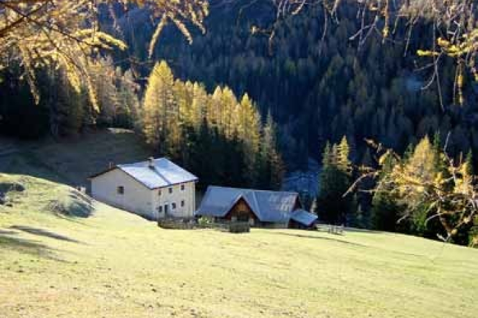 Alp Uina Dadaint (oua_31258715_image)