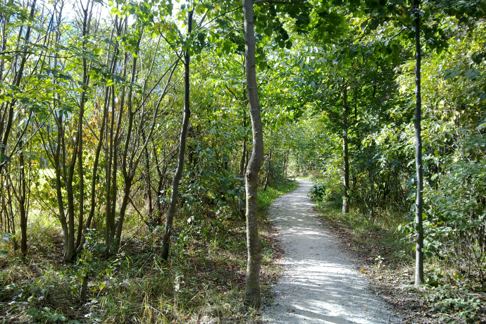 San Carlo - Miralago: Leichte Wanderung durch den Talboden des Puschlav (oua_31961965_image)