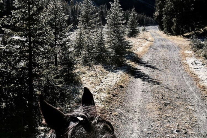 Horseback riding tour Isel