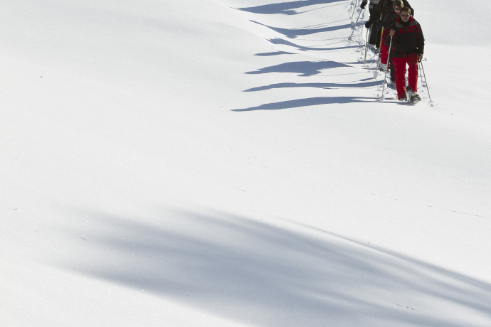 Chant Sura – Palapan – Prazif (oua_33182529_image)