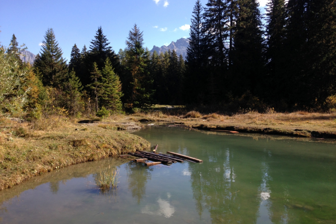 Feuerstelle Lais da Pesch (oua_33404826_image)