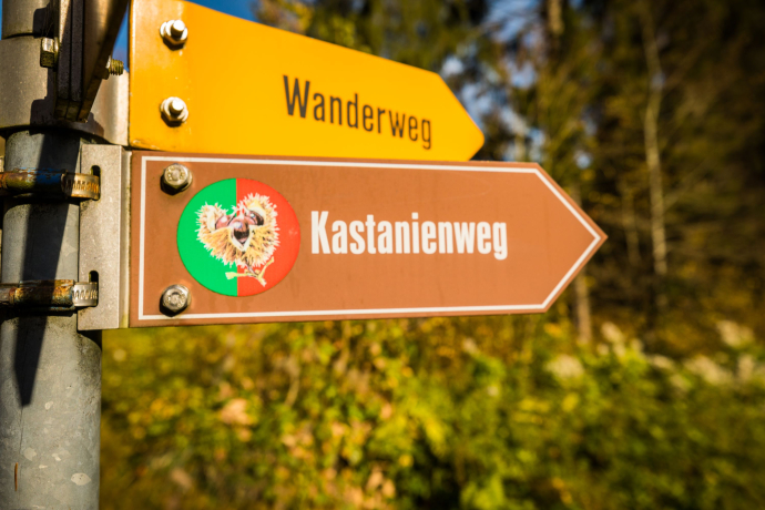 The Chestnut Trail is well signposted