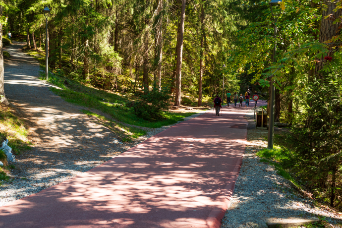 Caumasee Rundwanderung: Flims - Caumasee - Conn - Flims (oua_33412820_image)