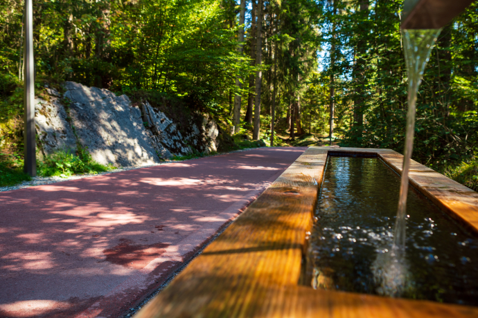 Caumasee Rundwanderung: Flims - Caumasee - Conn - Flims (oua_33412821_image)