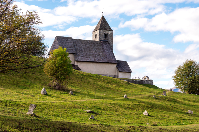 Crest da Tiarms (oua_33412964_image)