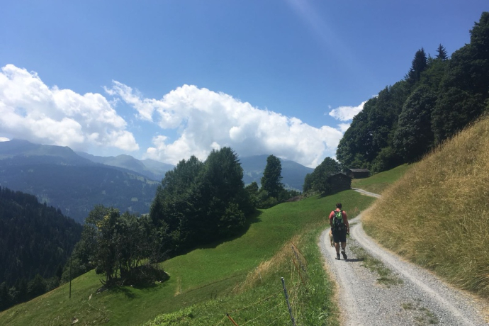 Percorso lungo bellissimi prati