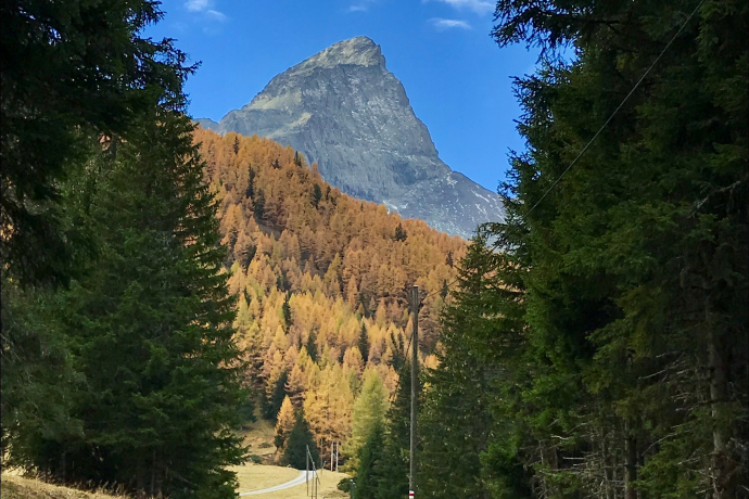 Tga / Val Faller - Marmorera Staudamm (oua_33806319_image)